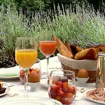 Domaine De La Brugere Bed & Breakfast 4*