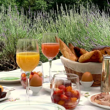 Domaine De La Brugere Alojamento de Acomodação e Pequeno-almoço 4*