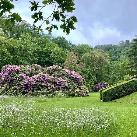 Domaine De La Brugere