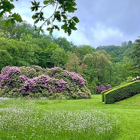 Domaine De La Brugere فندق مبيت وإفطار 4*