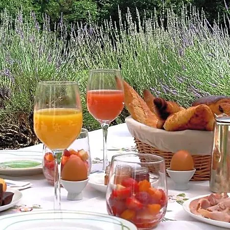 Domaine De La Brugere فندق مبيت وإفطار 4*