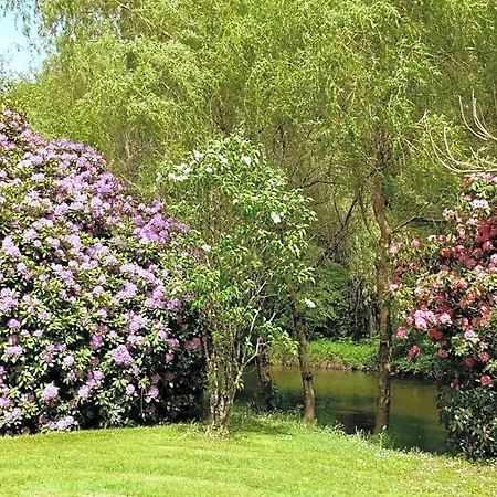 فندق مبيت وإفطار Domaine De La Brugere
