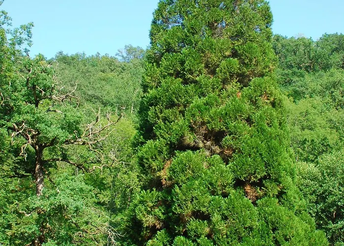 Domaine De La Brugere 4*