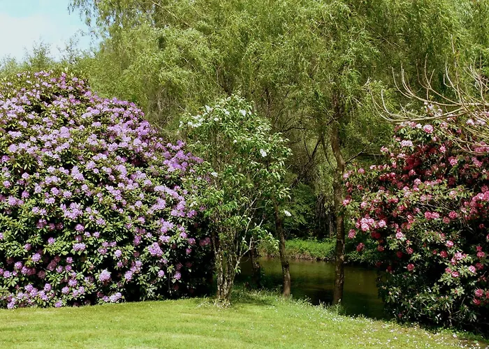 Bed & Breakfast Domaine De La Brugere