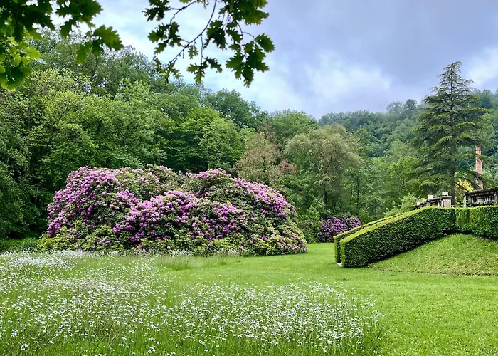 Domaine De La Brugere